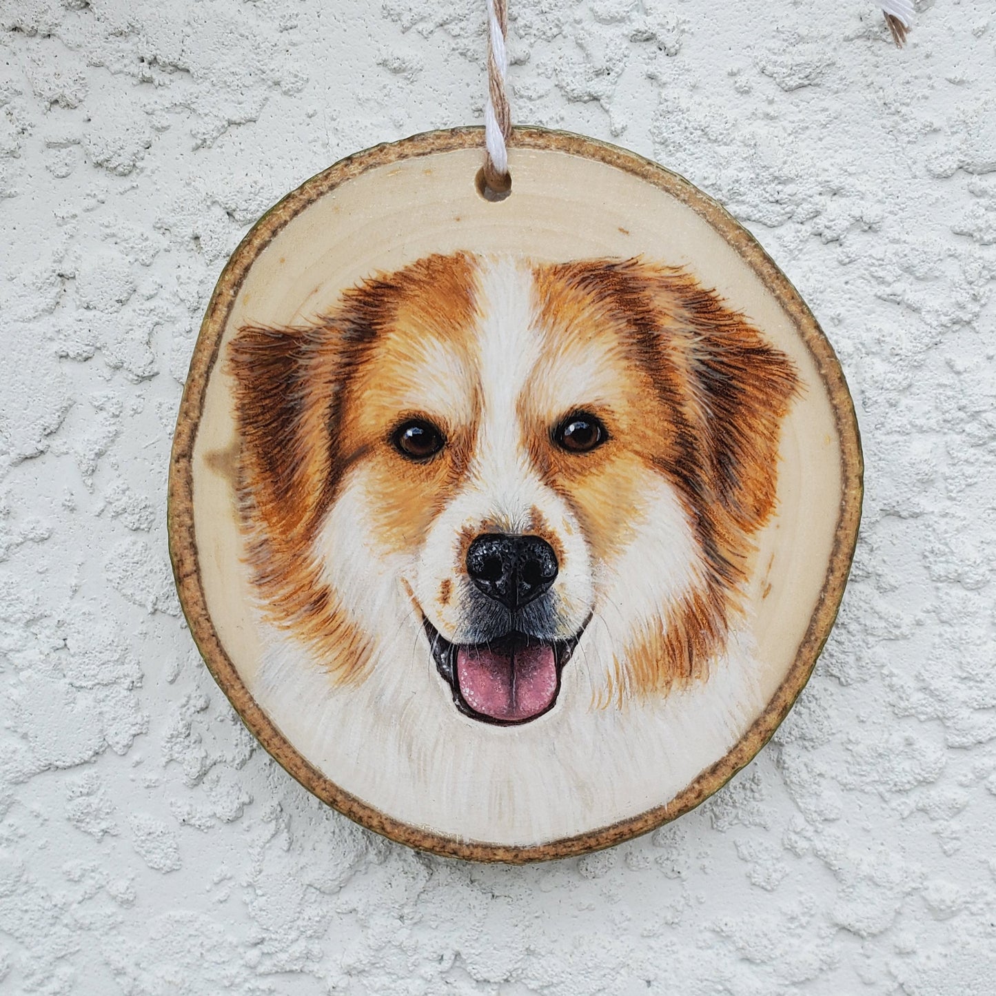 Pet Portrait Ornaments