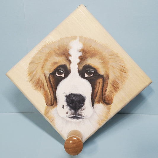 Leash and Collar Hanger