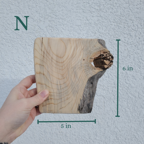 The Woodland Keepsake Portrait