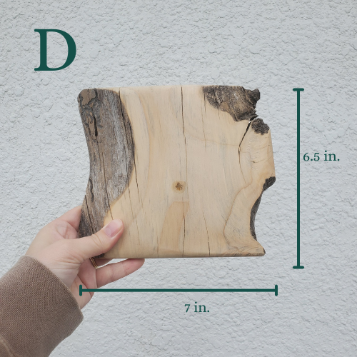 The Woodland Keepsake Portrait