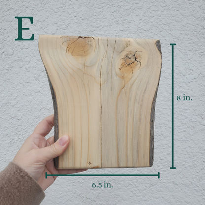 The Woodland Keepsake Portrait