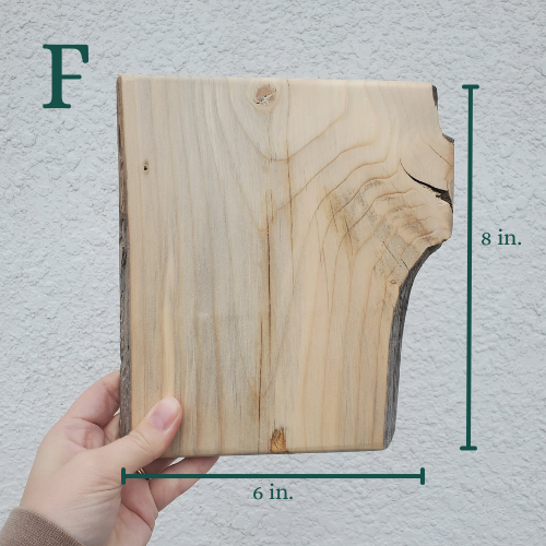 The Woodland Keepsake Portrait