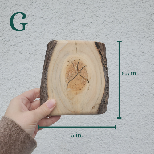 The Woodland Keepsake Portrait