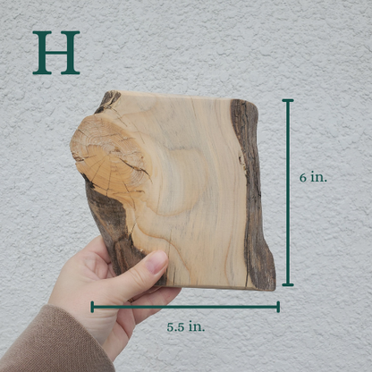 The Woodland Keepsake Portrait