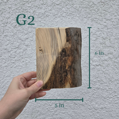 The Woodland Keepsake Portrait