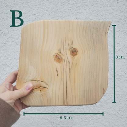 The Woodland Keepsake Portrait