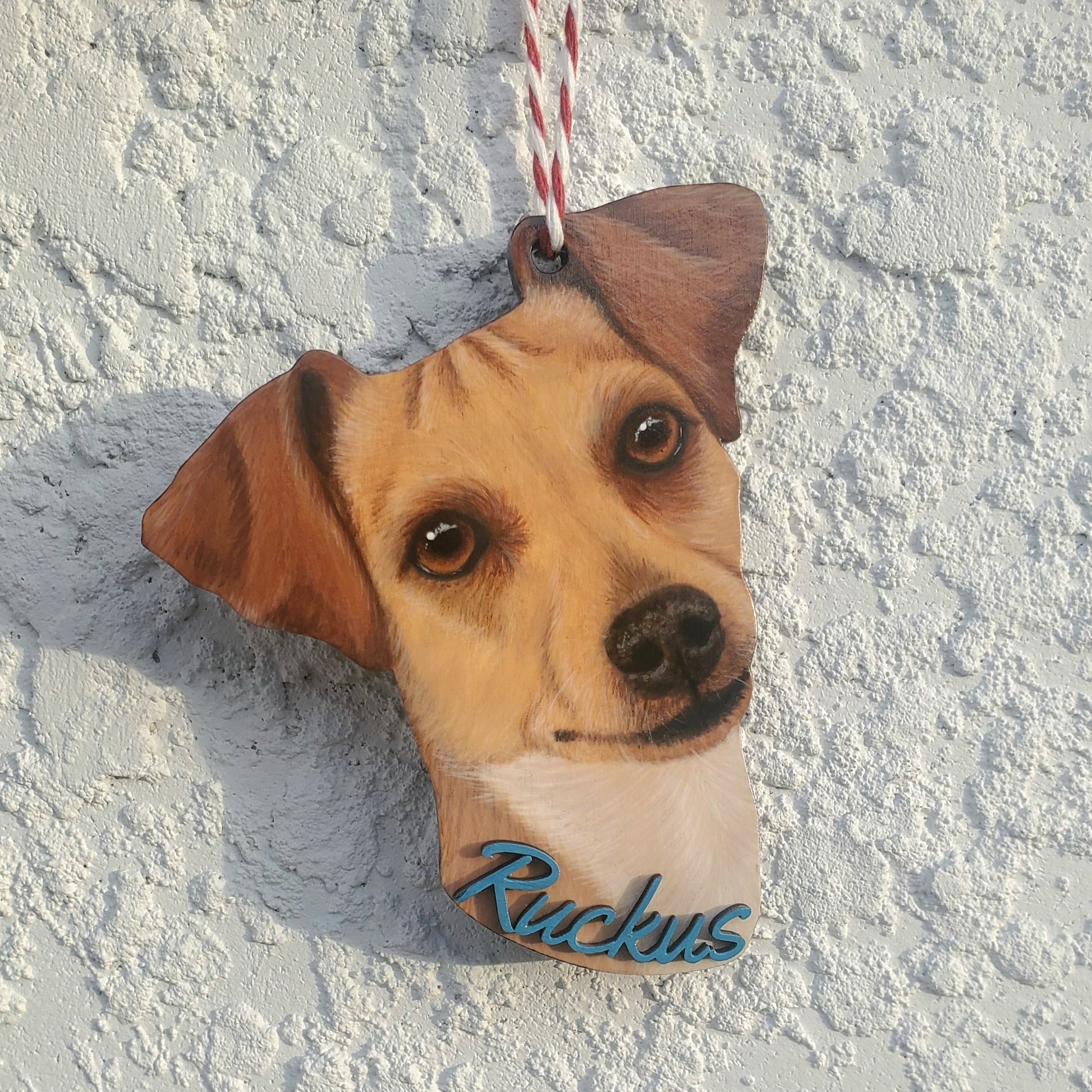 Decorative plaque with a dog's face and name 'Ruckus' on a textured white background