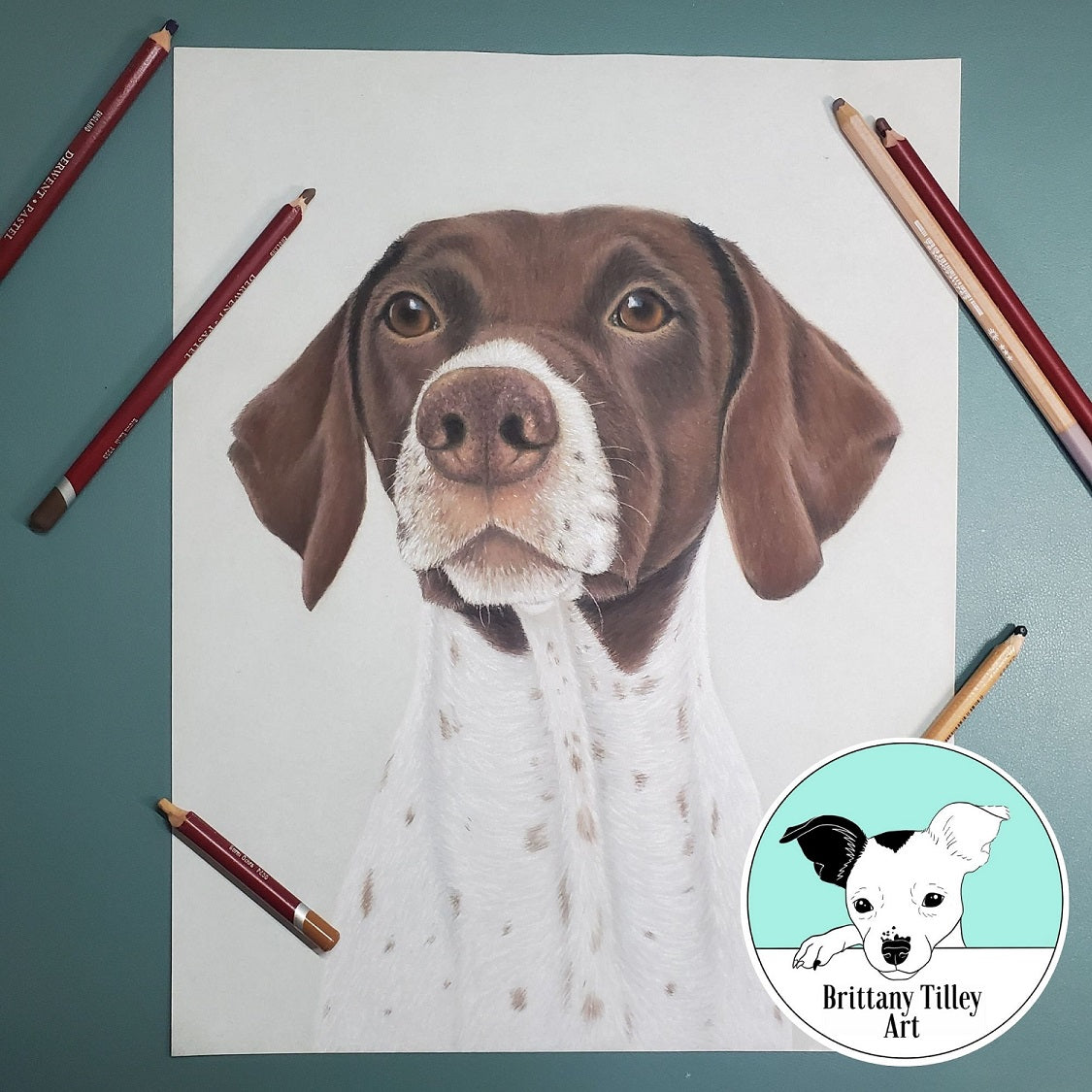 Pastel Pet Portrait