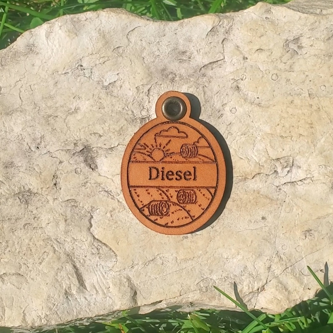 Leather Pet Tag