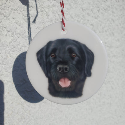 Ceramic Pet Portrait Ornament