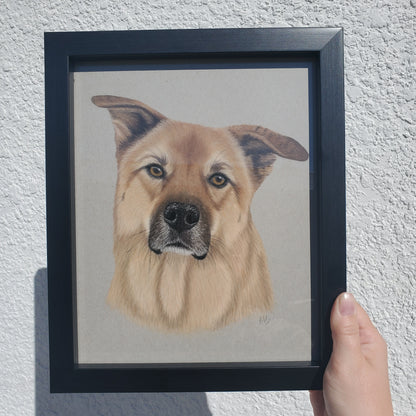 Pastel Pet Portrait