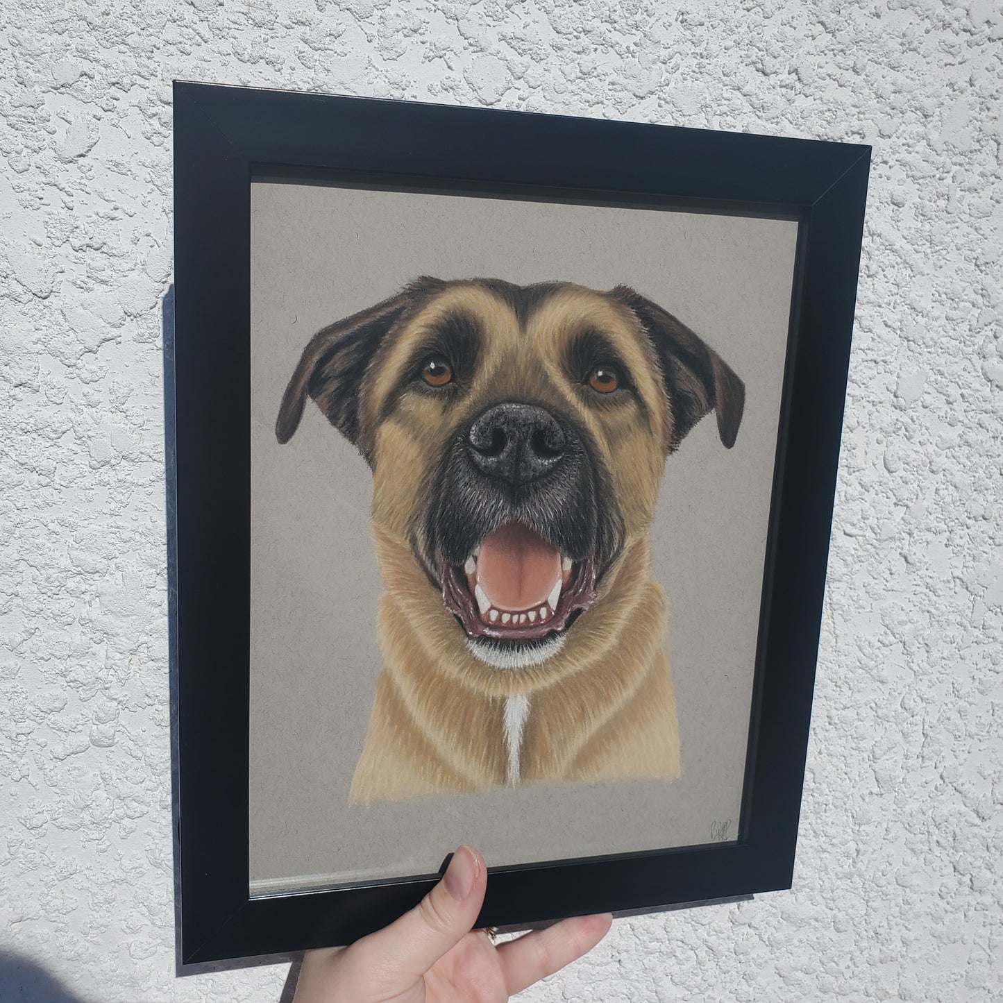 Pastel Pet Portrait
