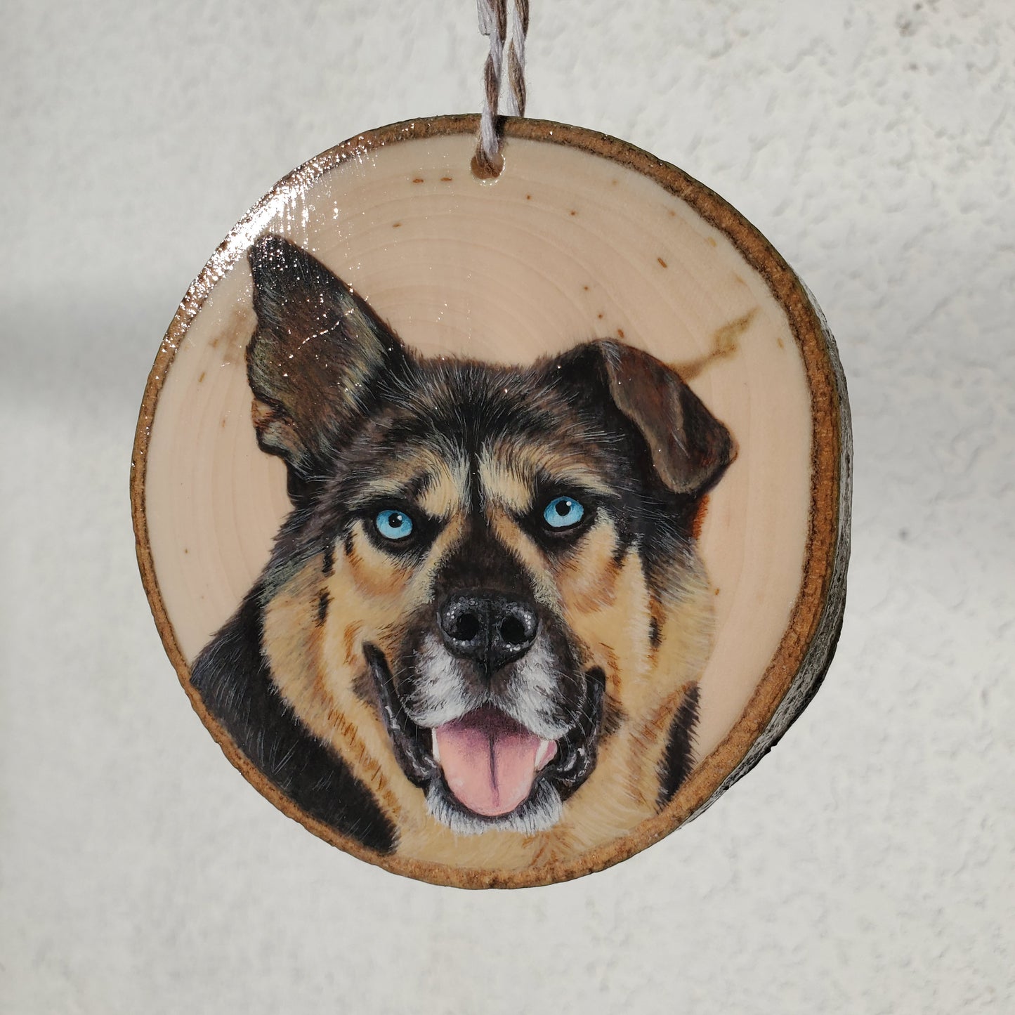 Pet Portrait Ornaments