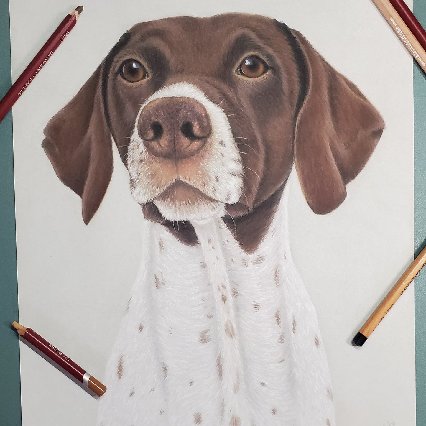 Pastel Pet Portrait
