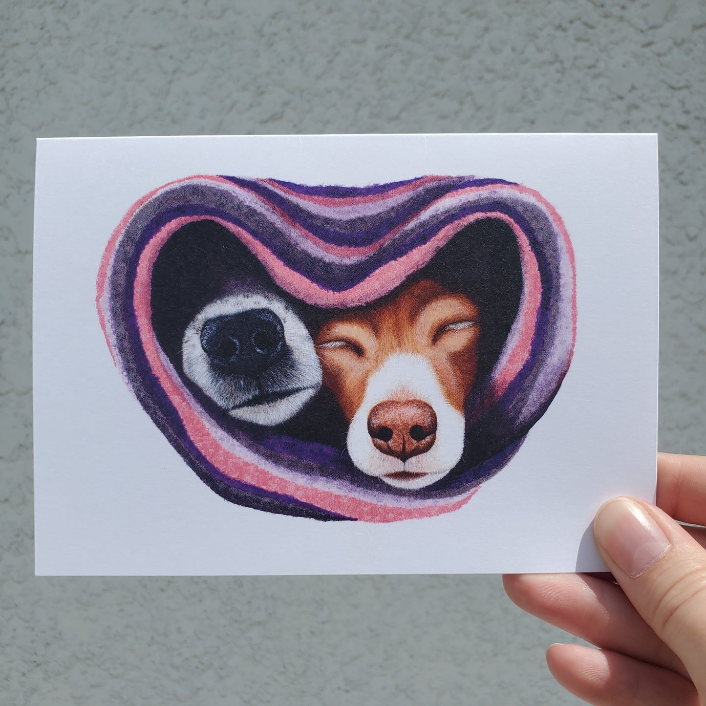 Pet Themed Greeting Cards