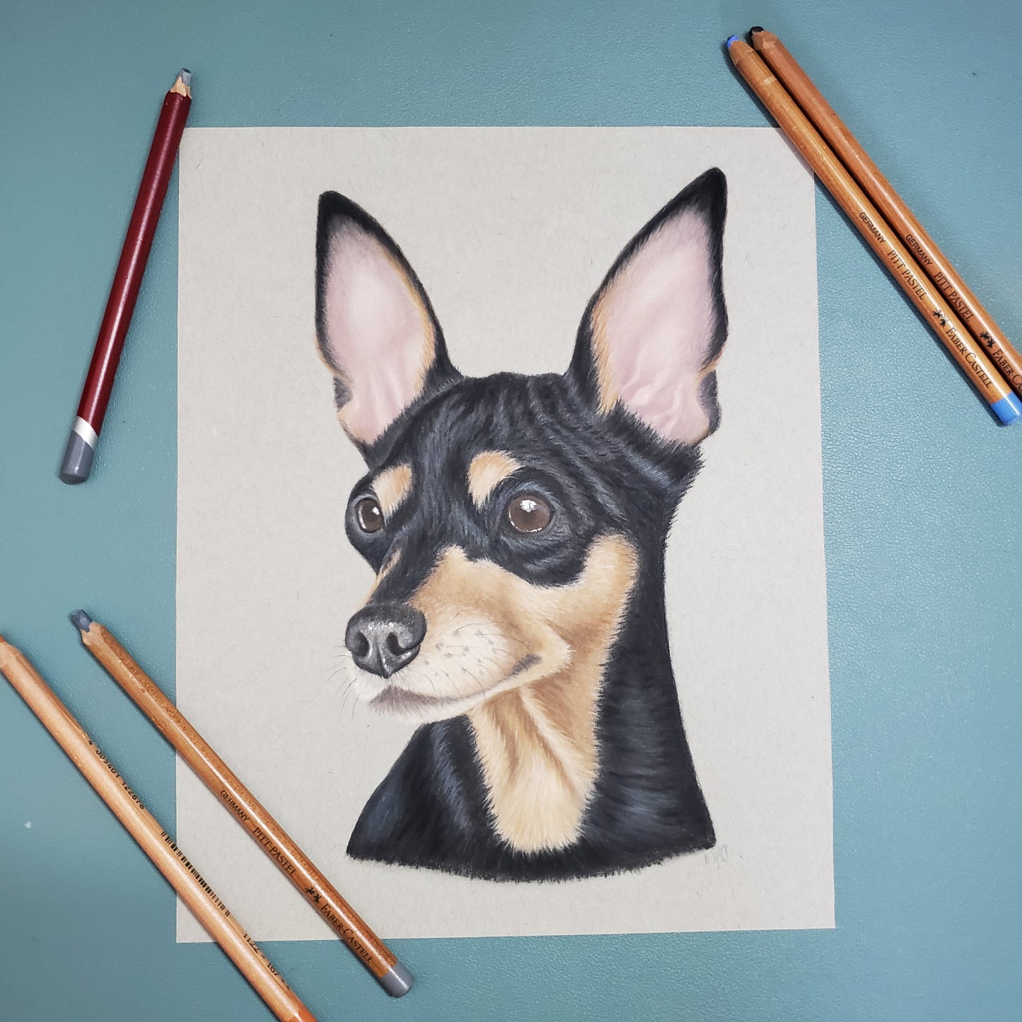 Pastel Pet Portrait