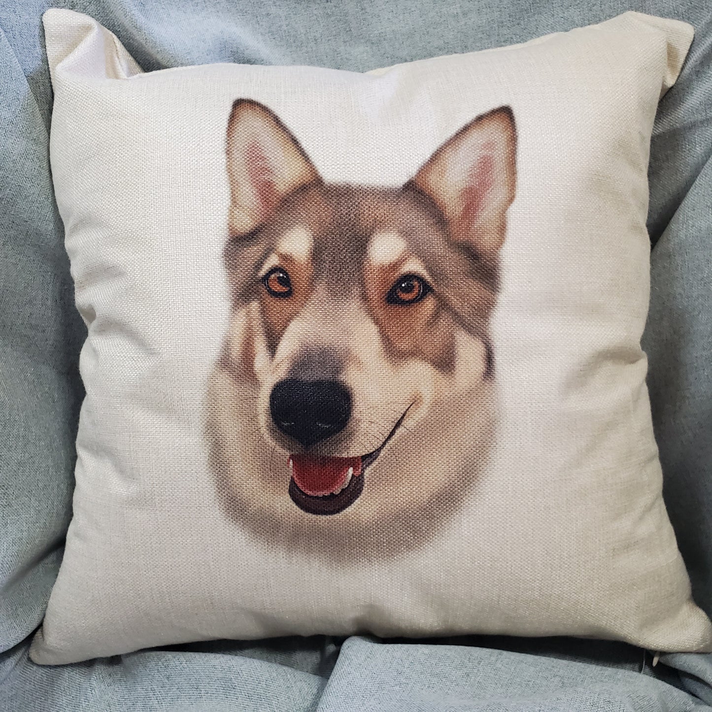 Pet Portrait Cushion
