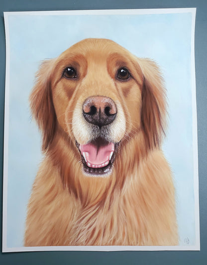 Pastel Pet Portrait