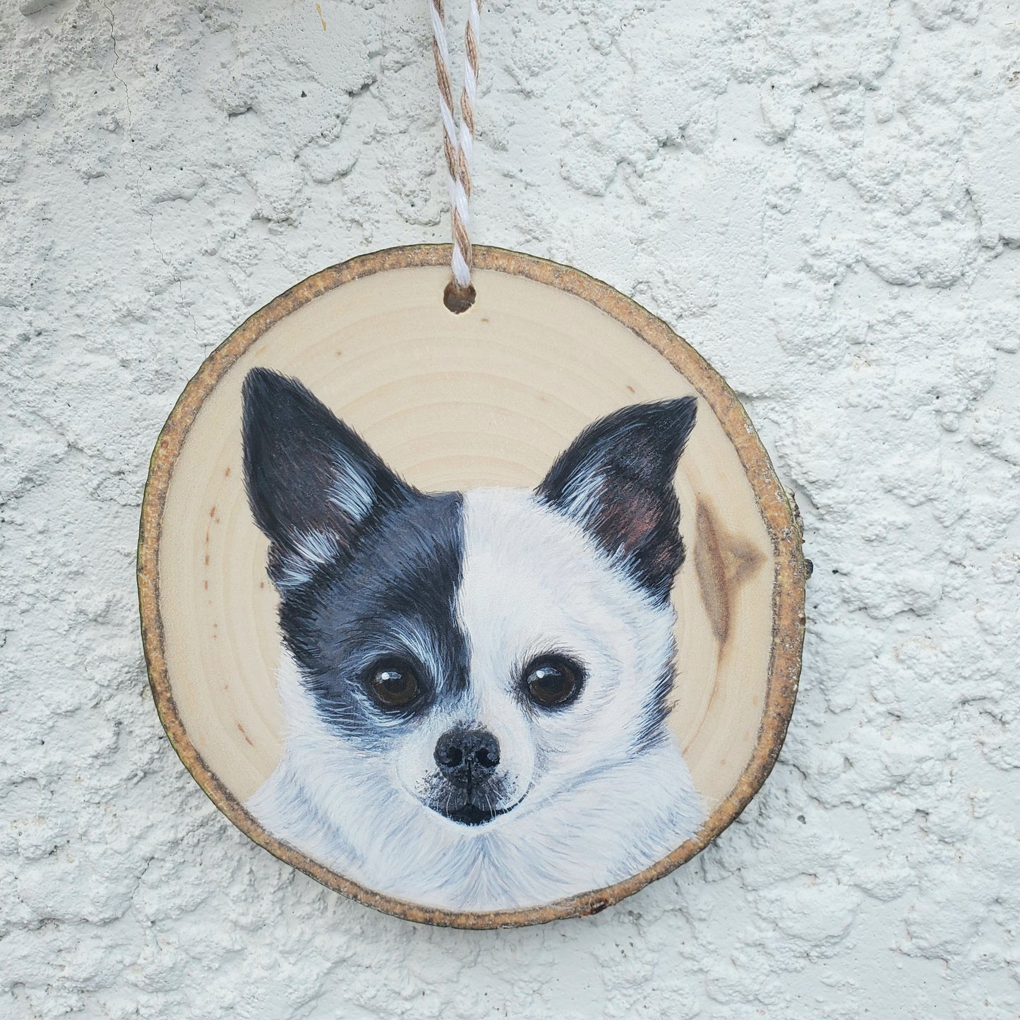 Pet Portrait Ornaments