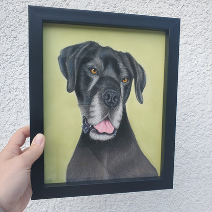 Pastel Pet Portrait