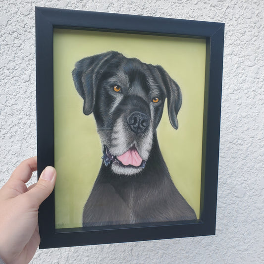 Pastel Pet Portrait