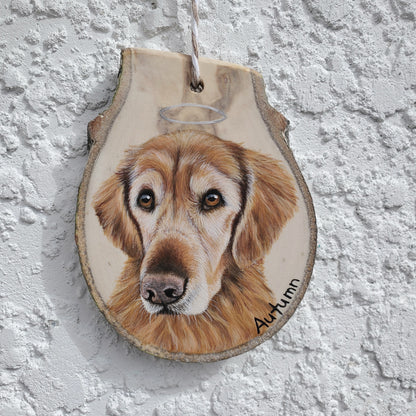 Pet Portrait Ornaments