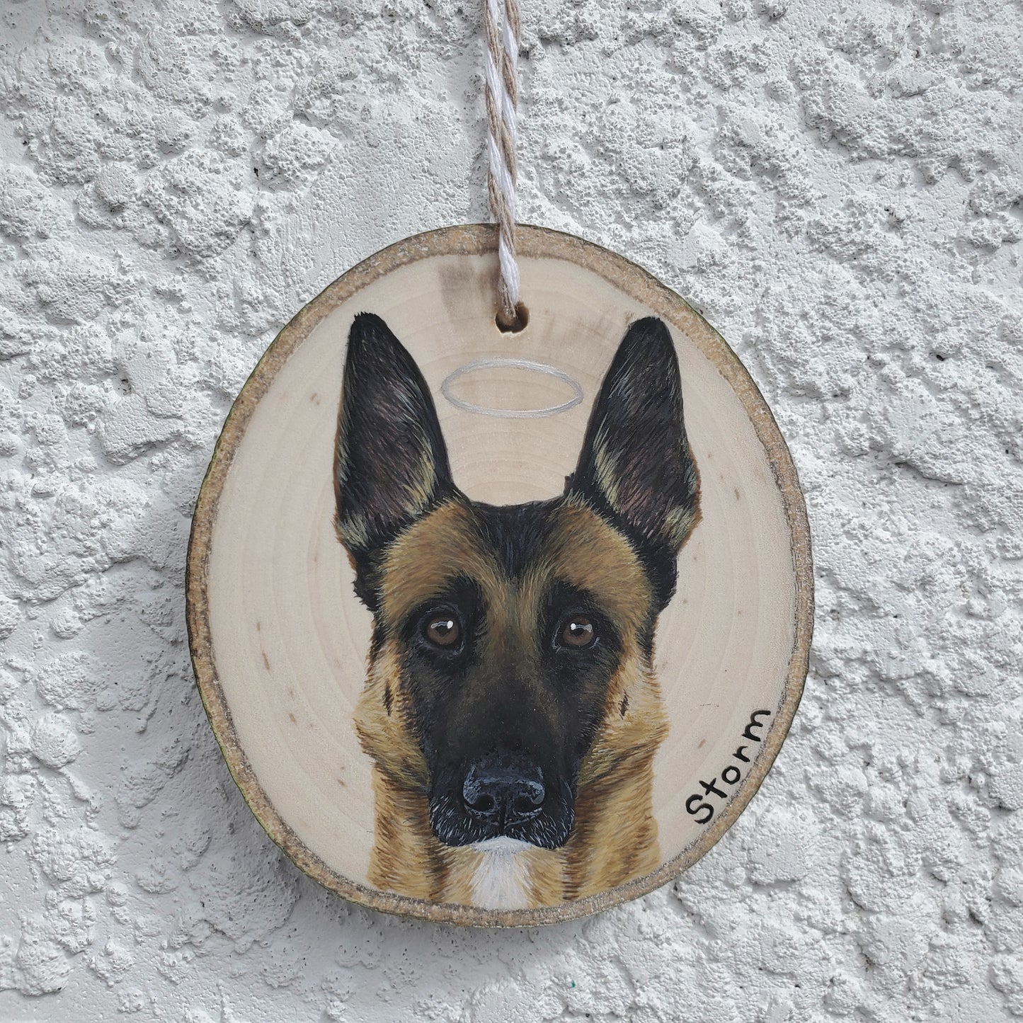 Pet Portrait Ornaments