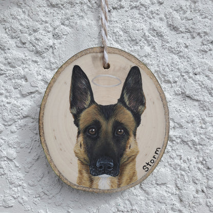 Pet Portrait Ornaments
