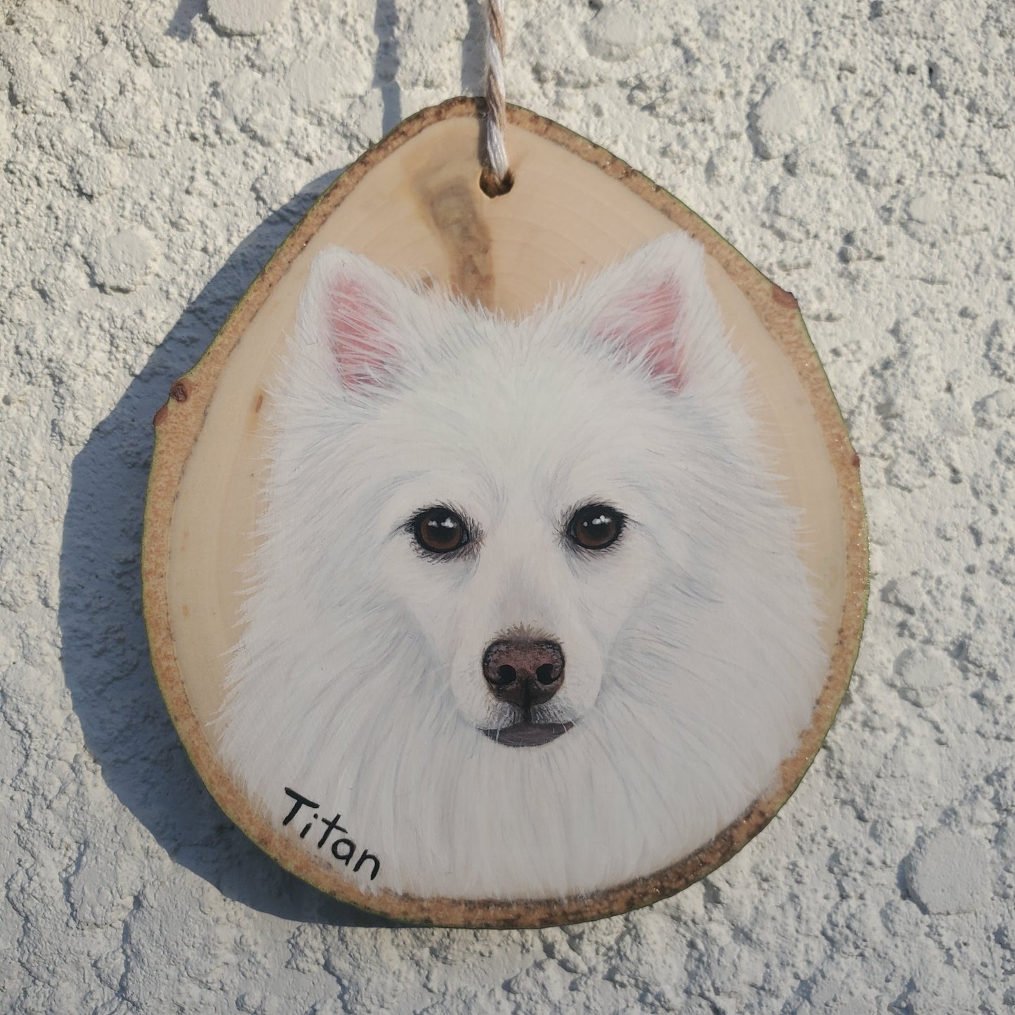 Pet Portrait Ornaments