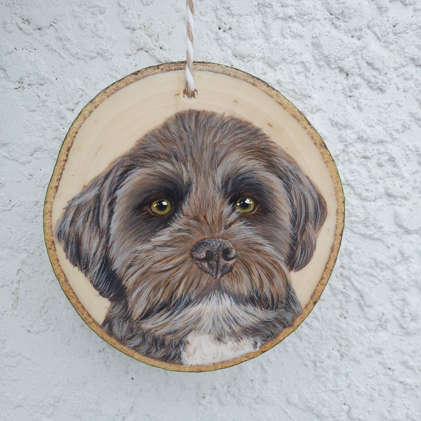 Pet Portrait Ornaments