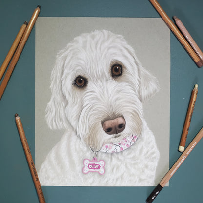Pastel Pet Portrait
