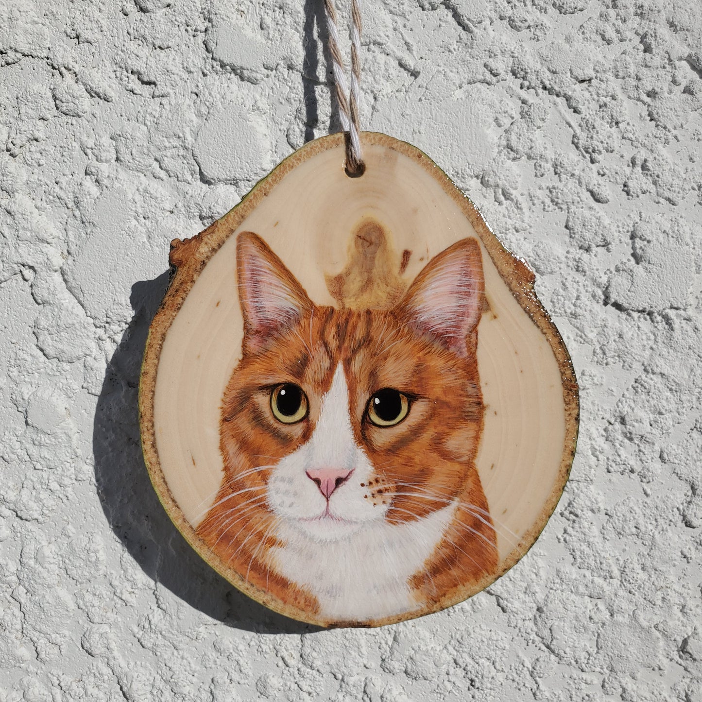 Pet Portrait Ornaments