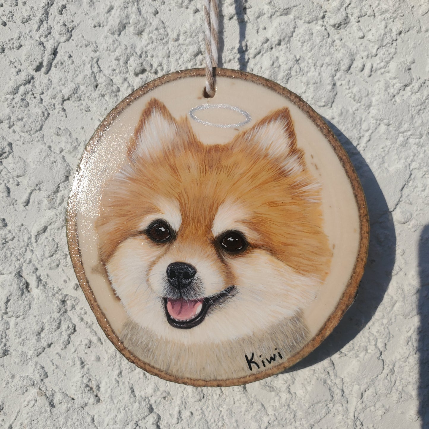 Pet Portrait Ornaments