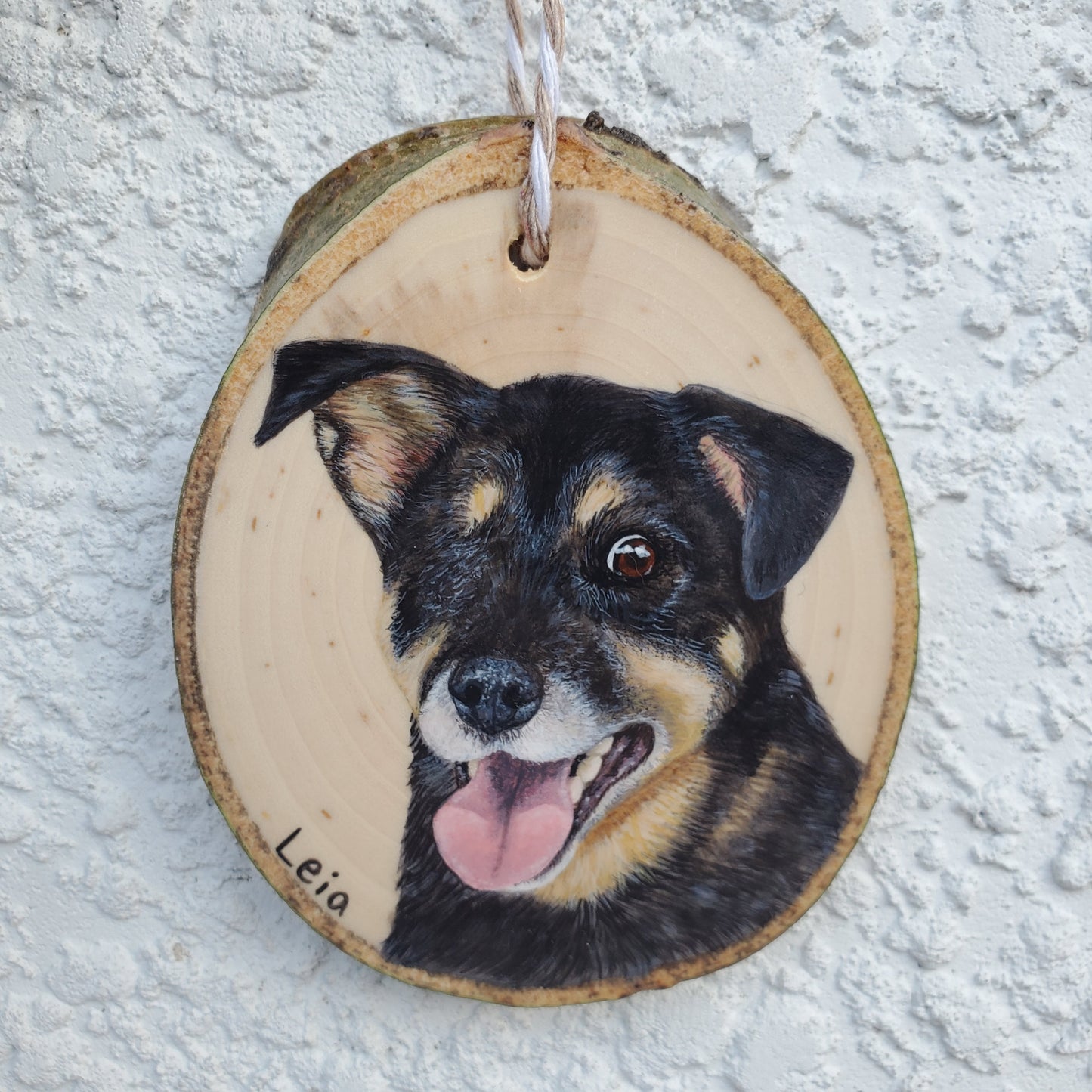 Pet Portrait Ornaments