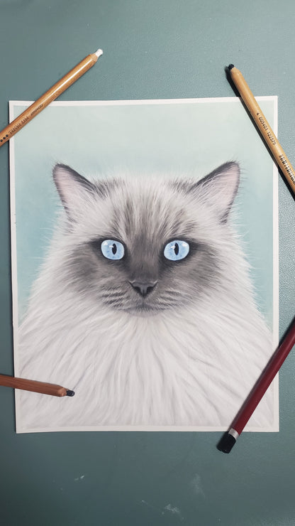 Pastel Pet Portrait