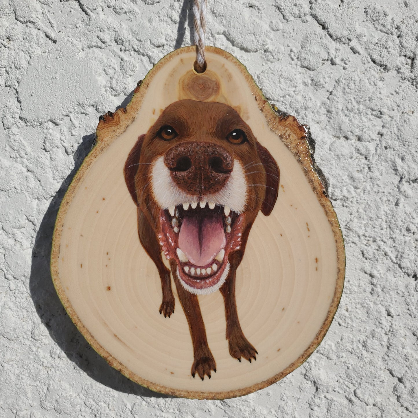 Pet Portrait Ornaments