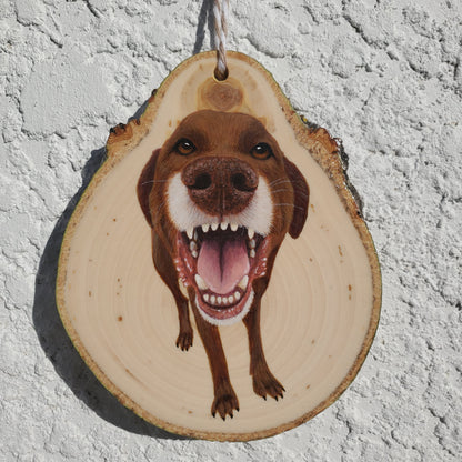 Pet Portrait Ornaments