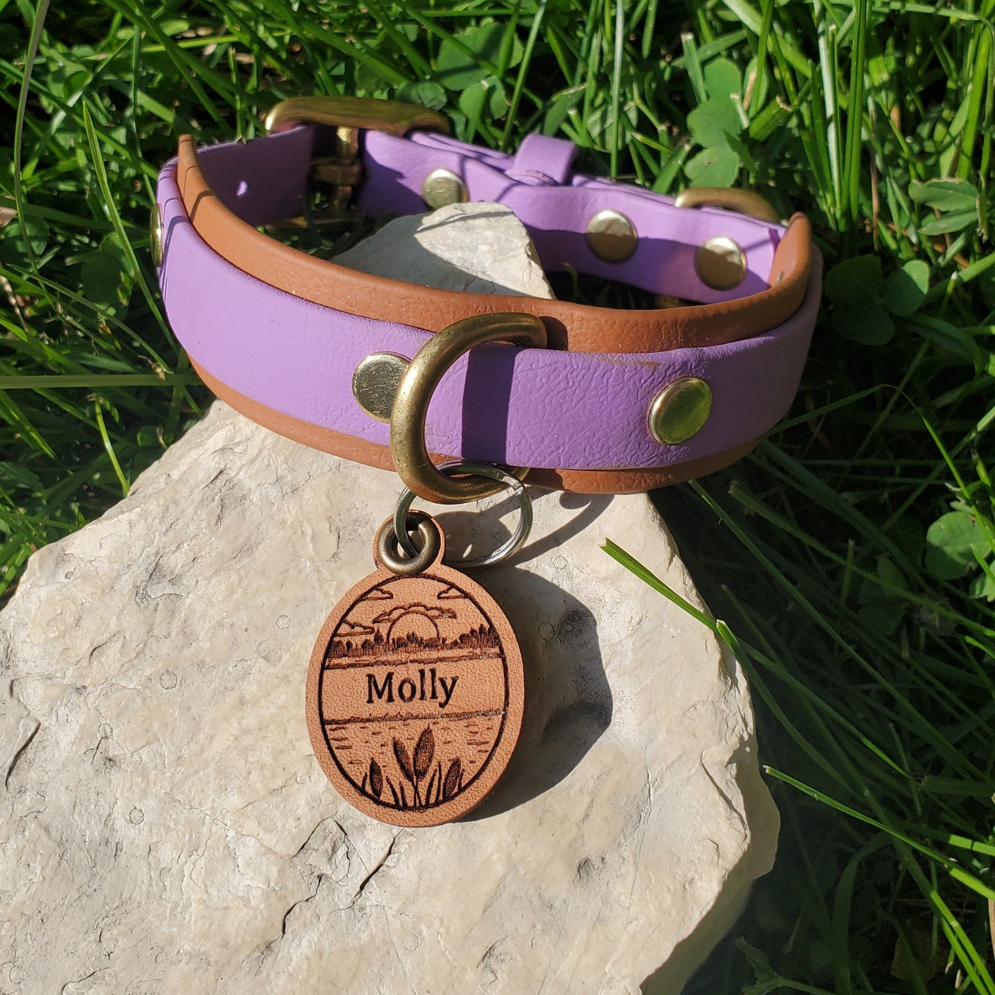 Leather Pet Tag