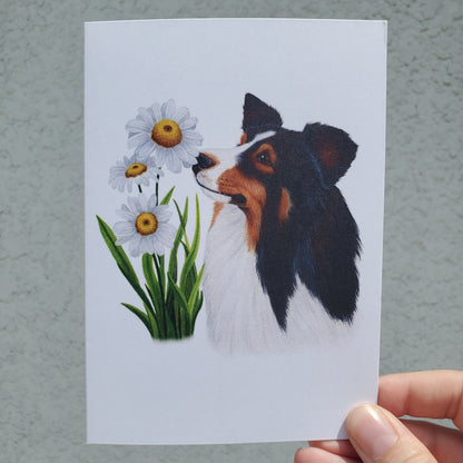 Pet Themed Greeting Cards
