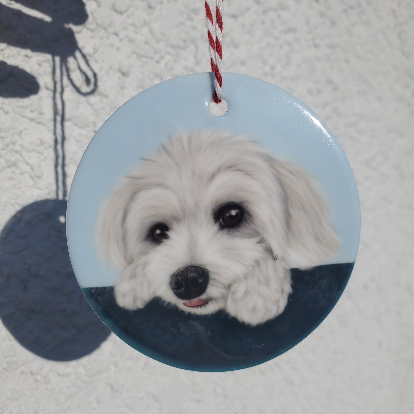 Ceramic Pet Portrait Ornament